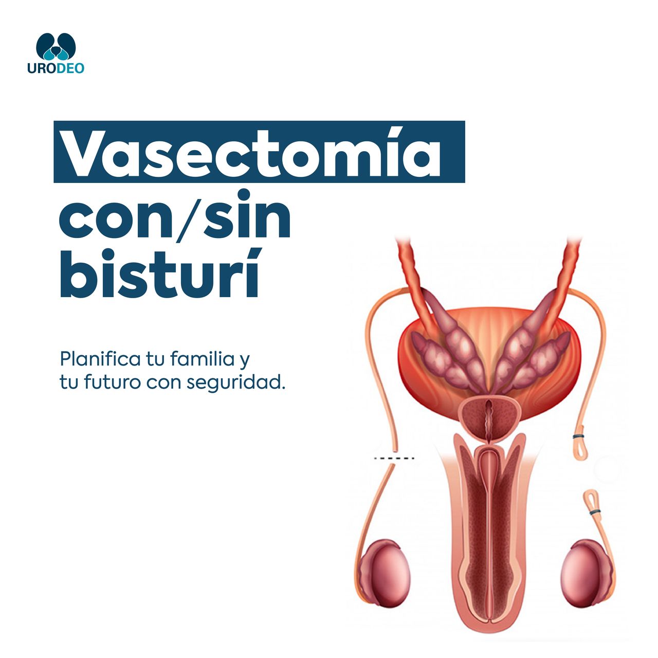 Enrique Orosco Muñico-6