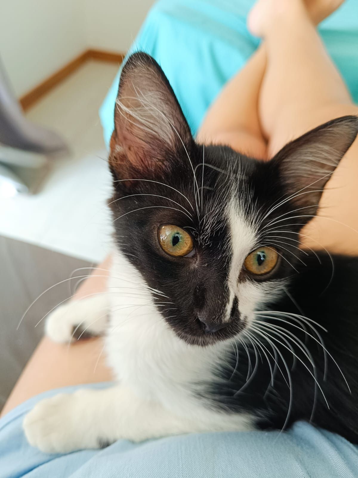 Priscila Yamashita Silva-1