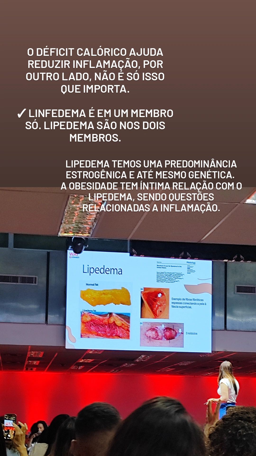 Maria Fernanda Neves-33