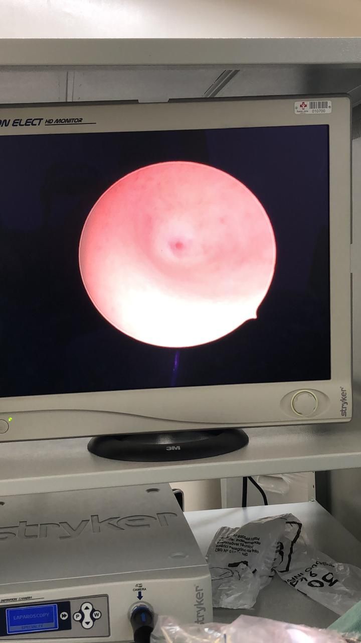 Liane Silva Rafael Rogério-19