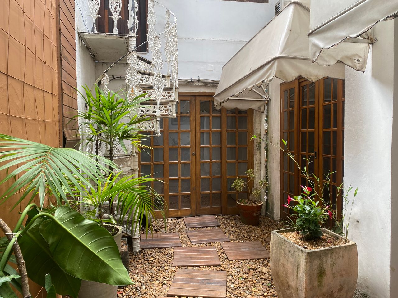 Fernanda Consentino-1