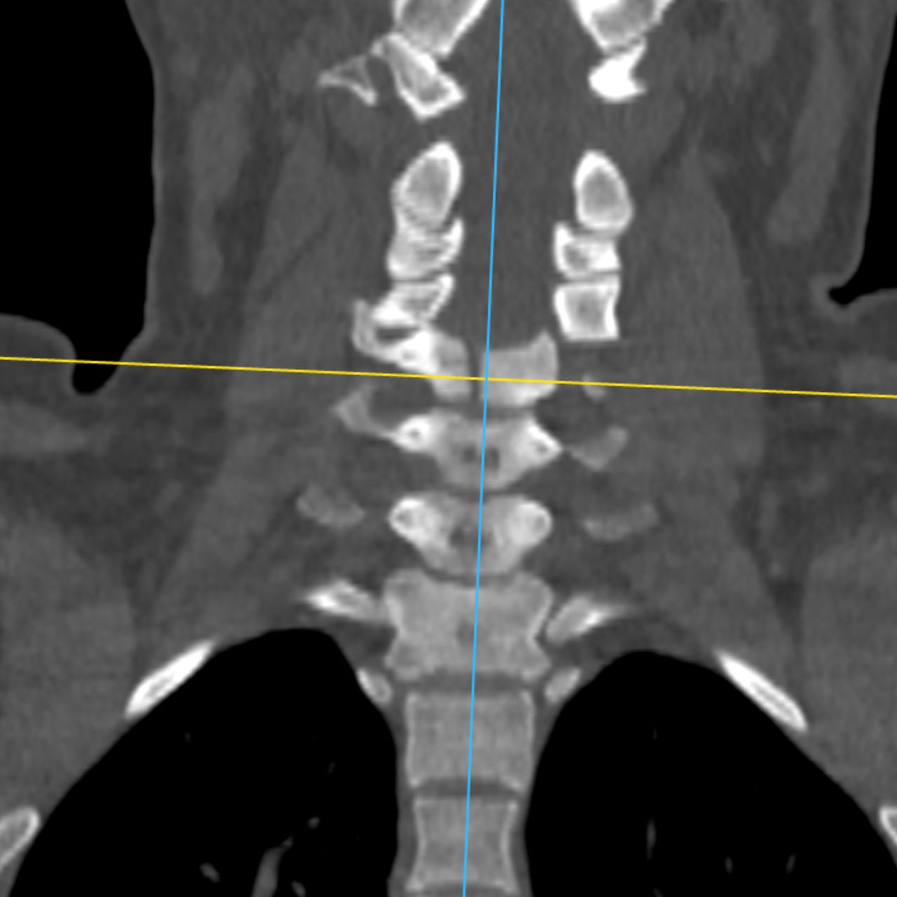 David Tafur Muñoz-2024