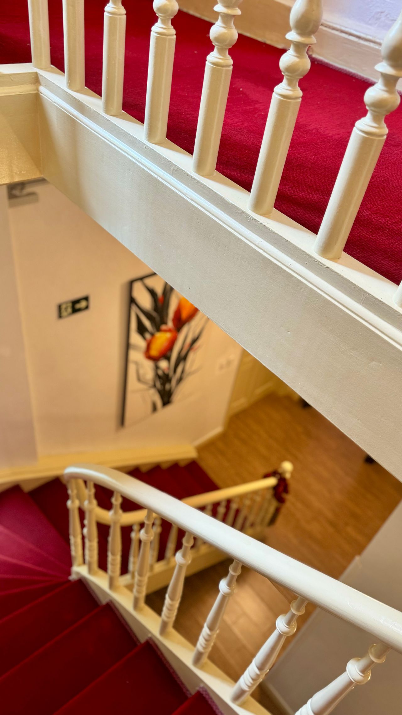 Gabriel Piacentini Bulhões-18