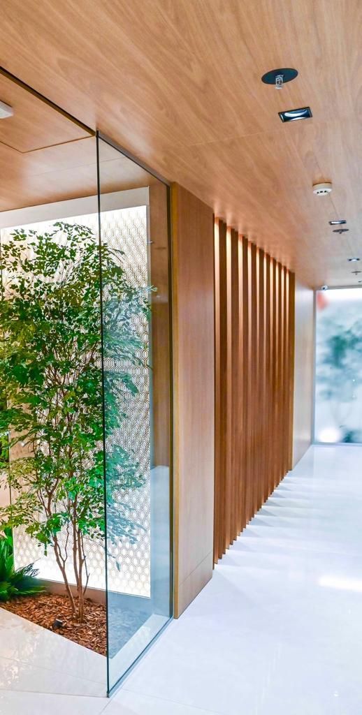 Mariana Toledo Arruda-2