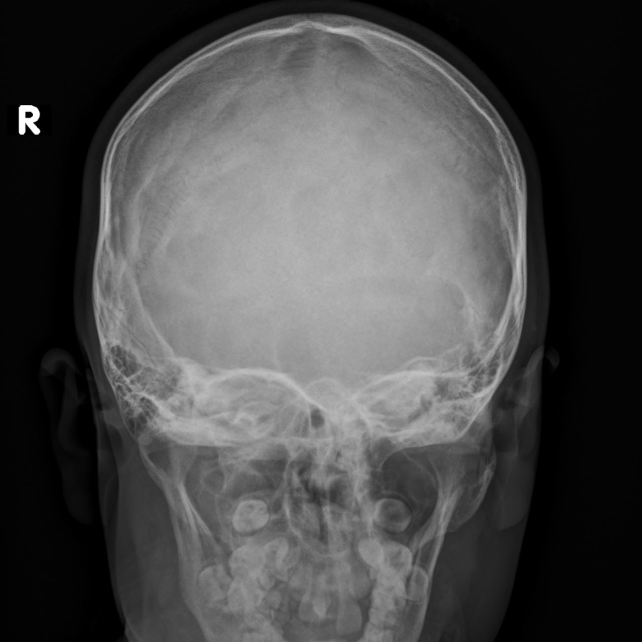 David Tafur Muñoz-1147