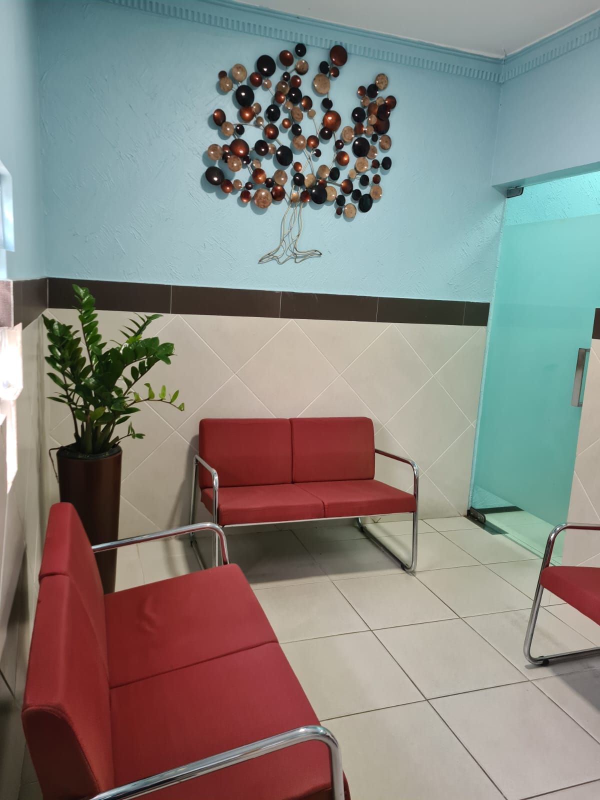 Márcia Falcão Carvalho Airemoraes-17