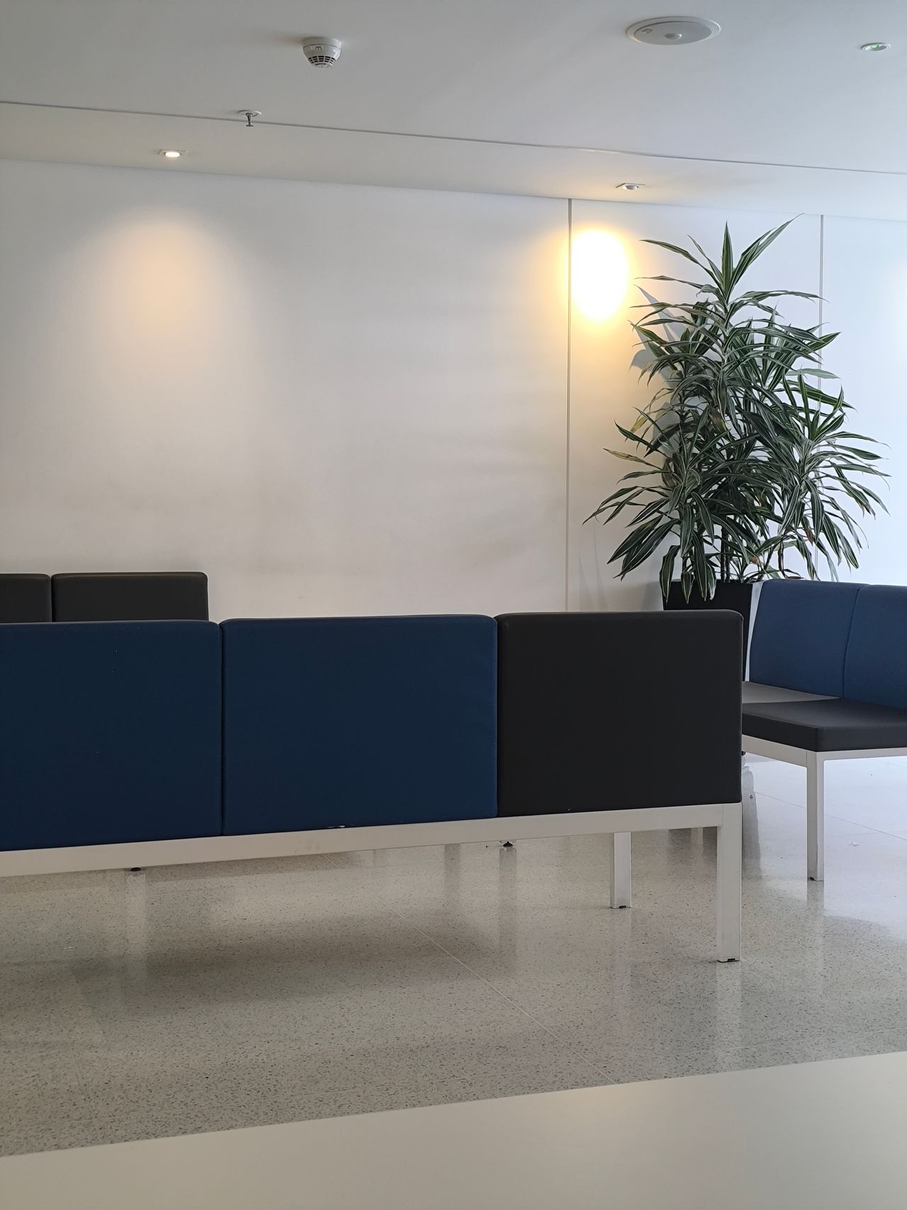 Melissa Murillo Cabrera-0