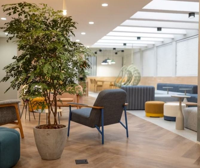 Larissa Baccoli Monge-0