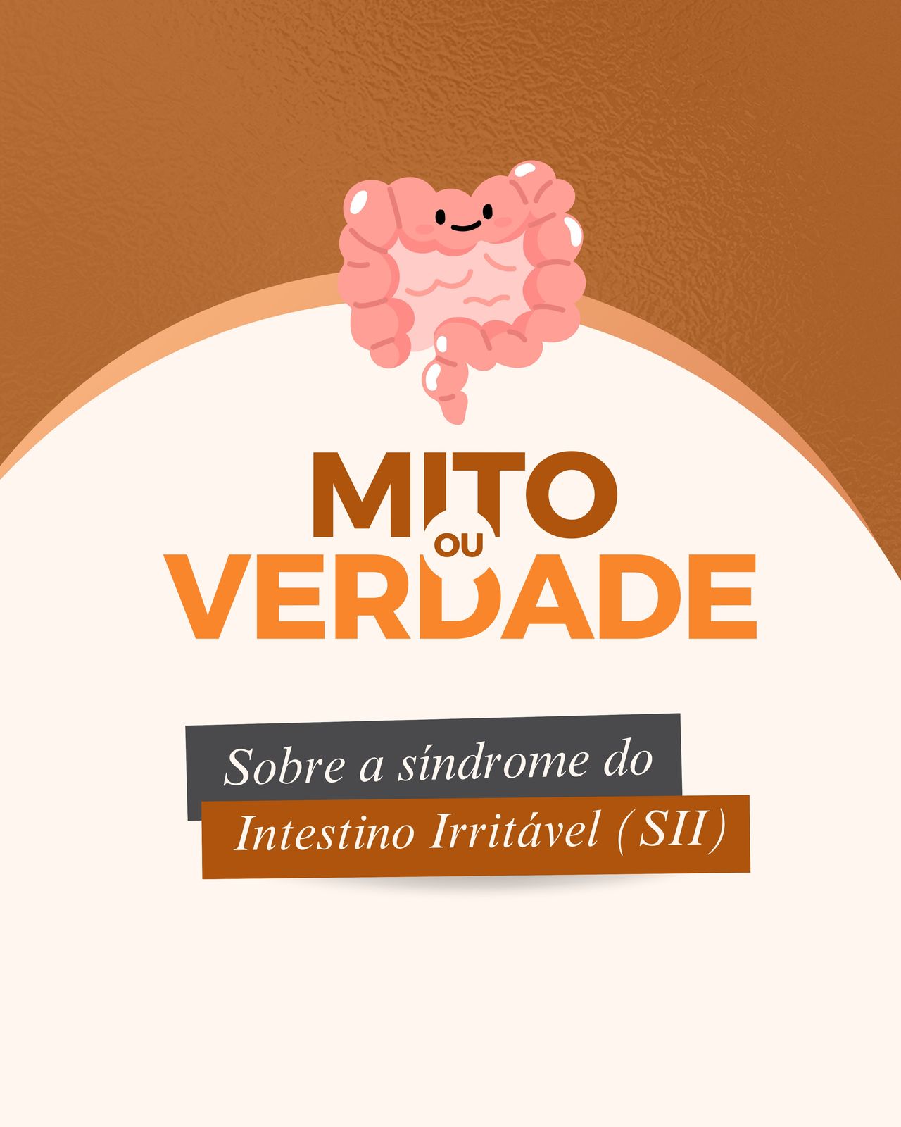 Amanda Barbosa Guimarães De Paula-6