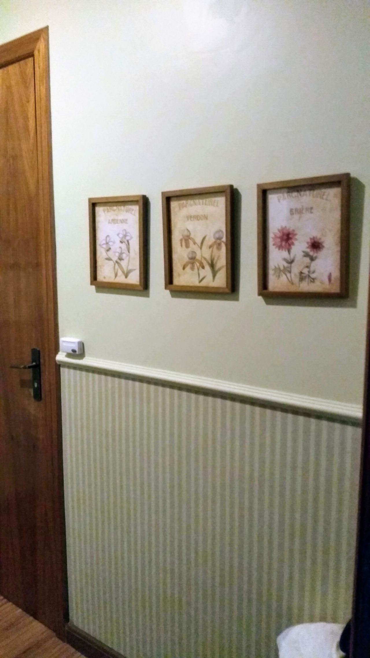 Jaqueline Figueiredo Ferreira-1