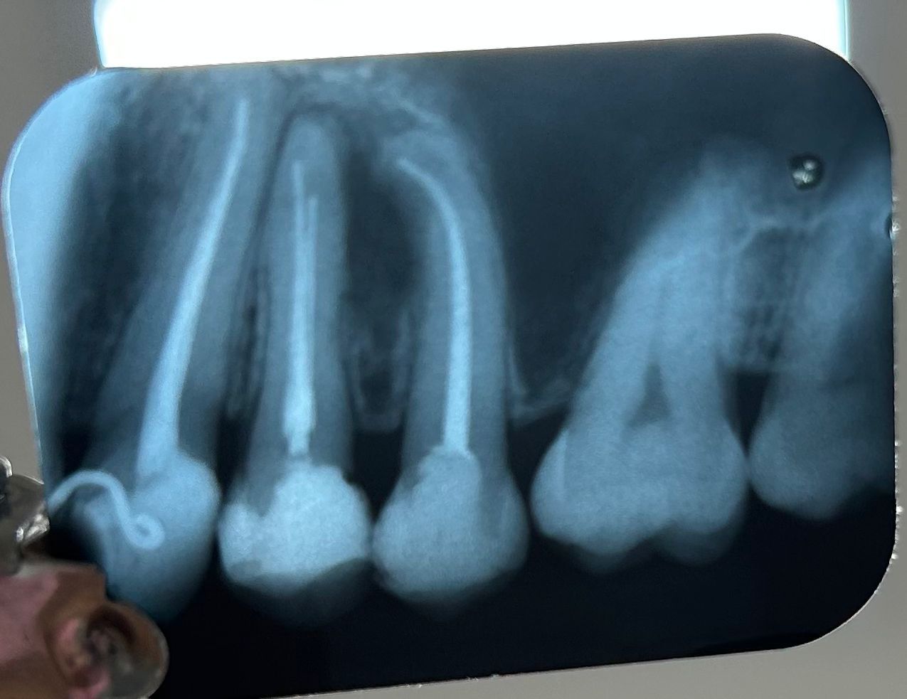  Máximo Joaquim  Calvo Villar Neto-4