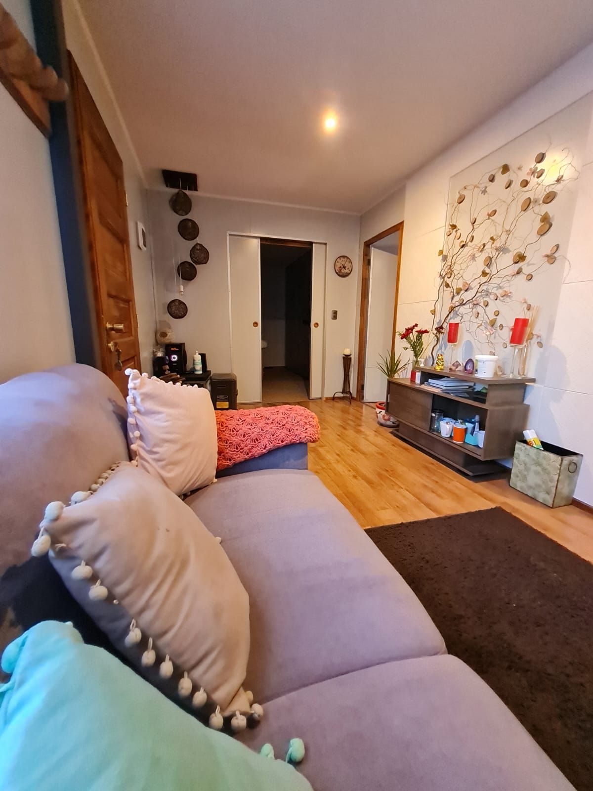 Ignacio Sapiain Sanhueza-1