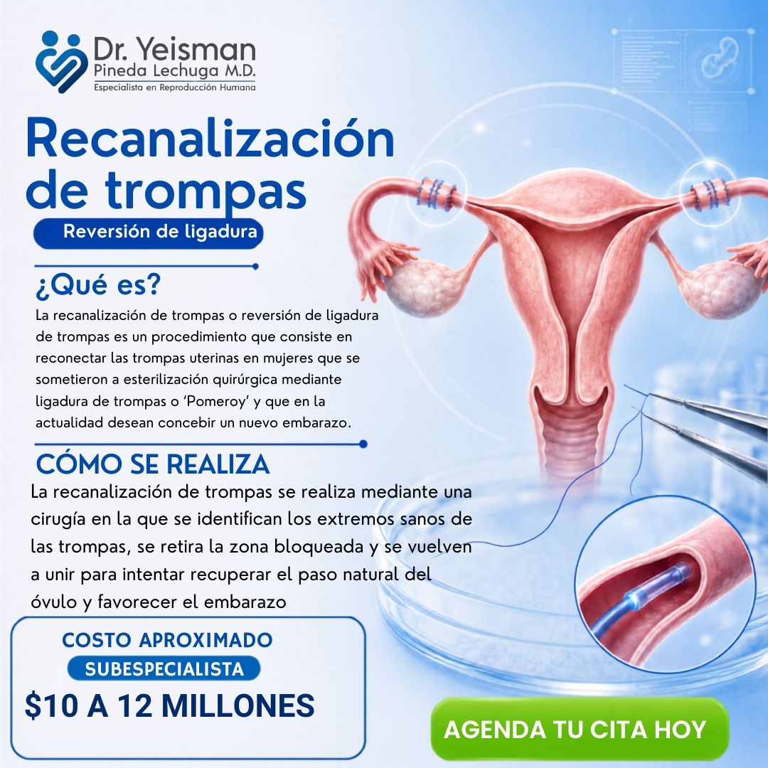 Yeisman Pineda Lechuga-3