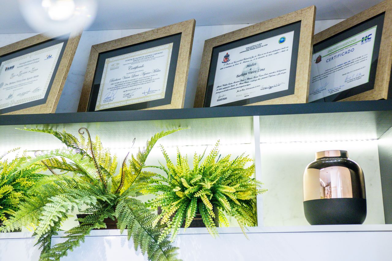 Dimas Aguiar Melão-10