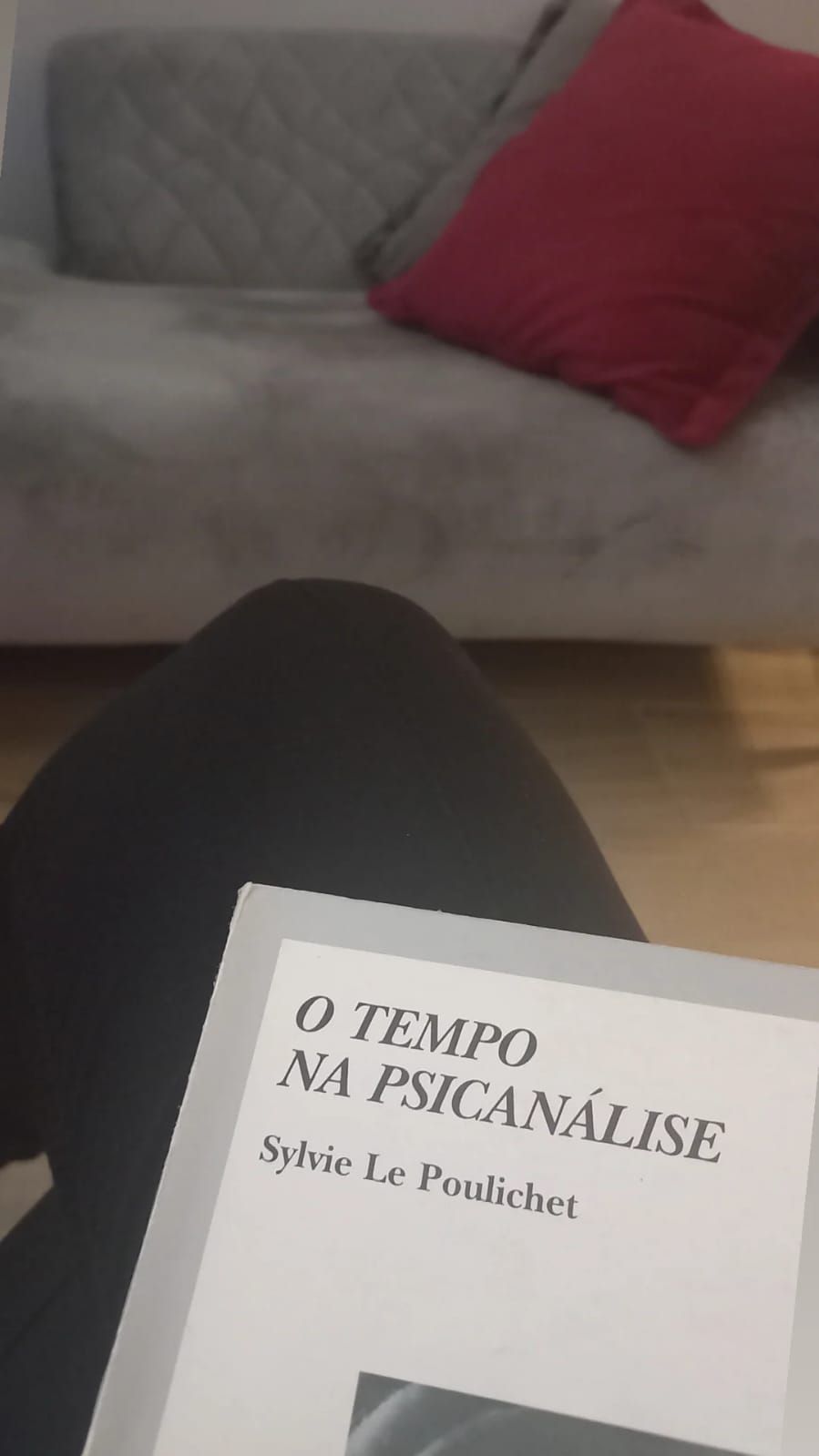 Camila Alvares Dos Reis-2