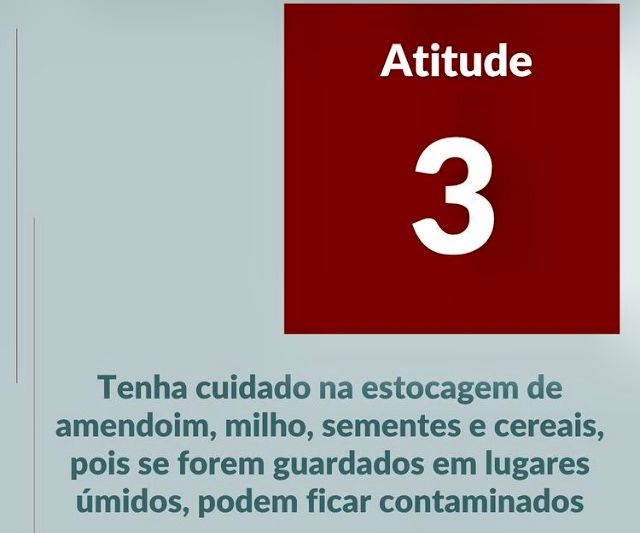 Italo De Maman Junior-4