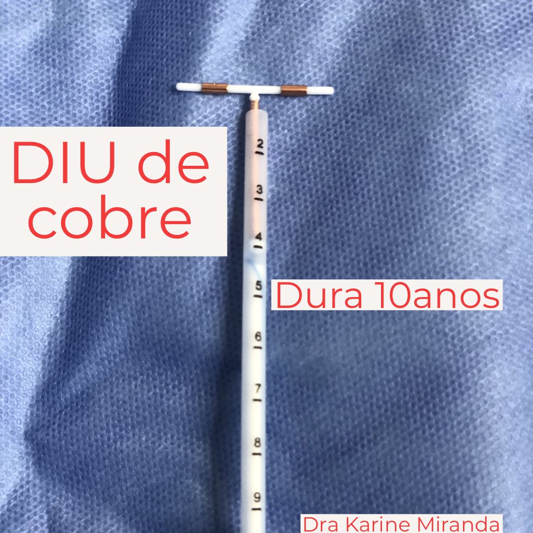 Karine Miranda-2