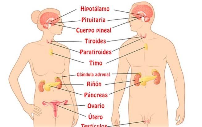 Enrique Ivan Ramos Maurell-3