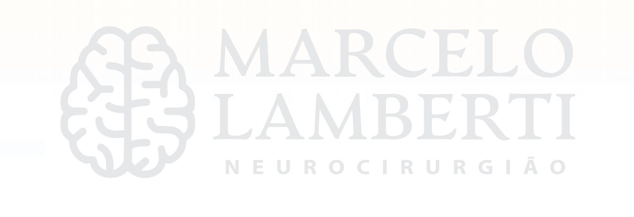 Marcelo Oliveira Lamberti-4