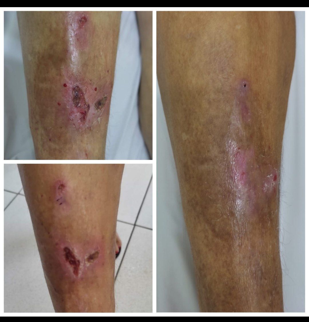 Ione Vieira Matsuo-1