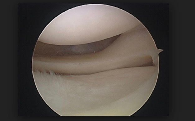 Dimitri Lovisaro Rumiantzeff-22