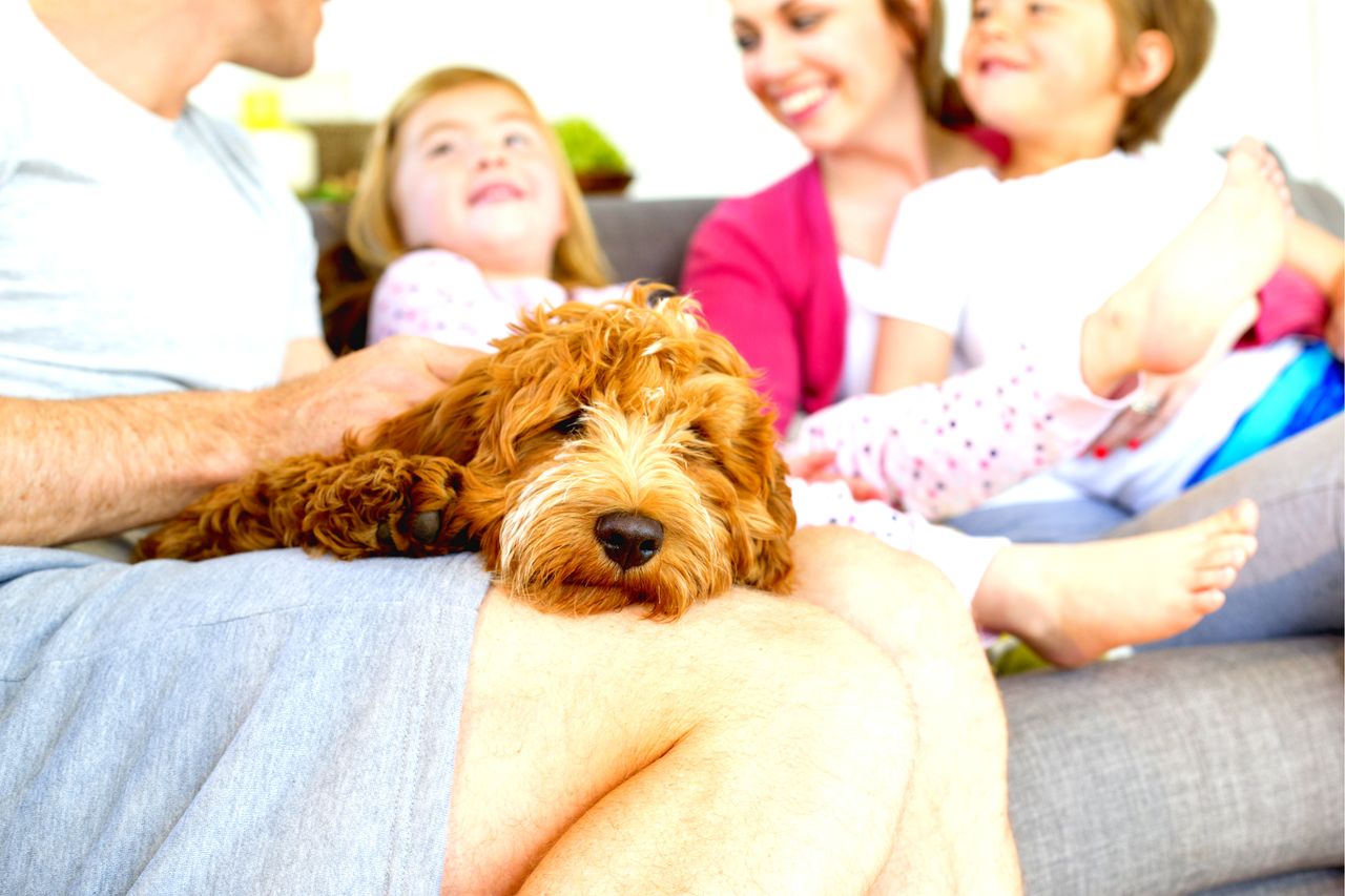 Elaine Cristina Pedroso Pfitscher-12