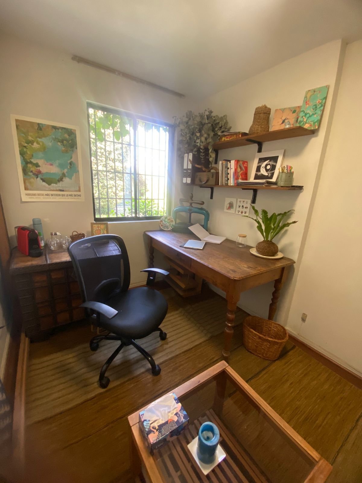 Alejandra Fontanet Labbé-0