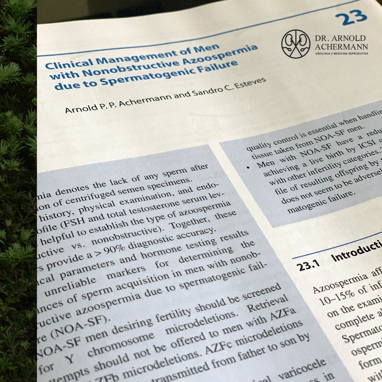 Arnold Peter Paul Achermann-4