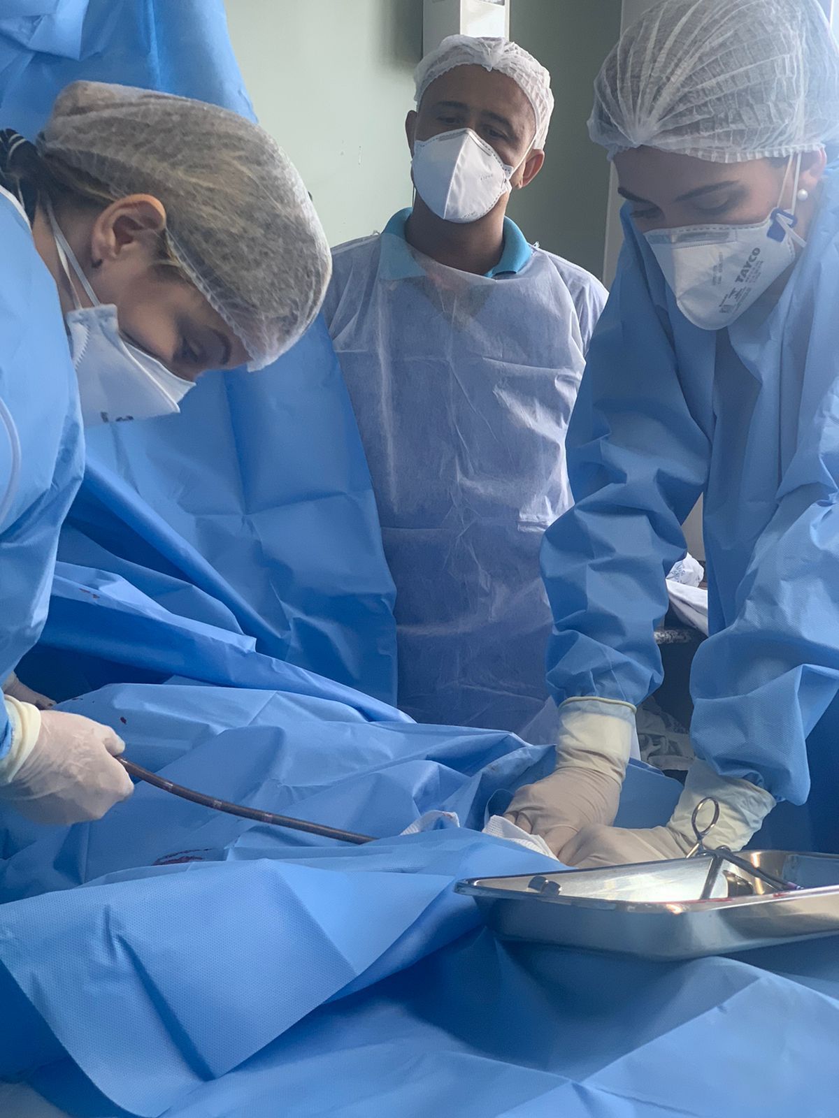 Marina Pinheiro Rocha Fantini-4