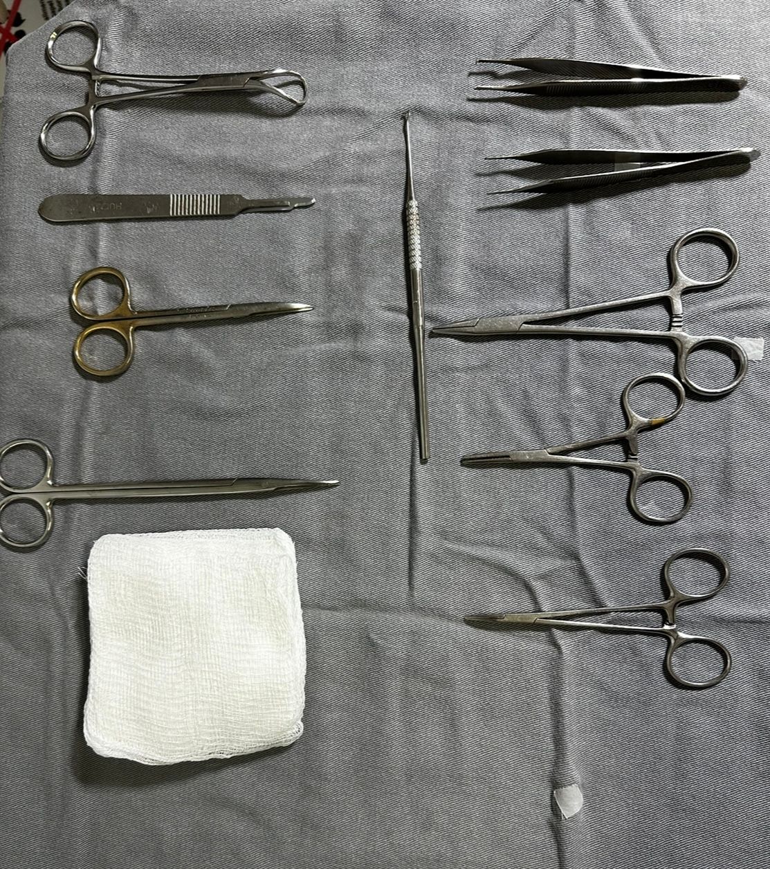 Fernanda Baracho Dominguez-8