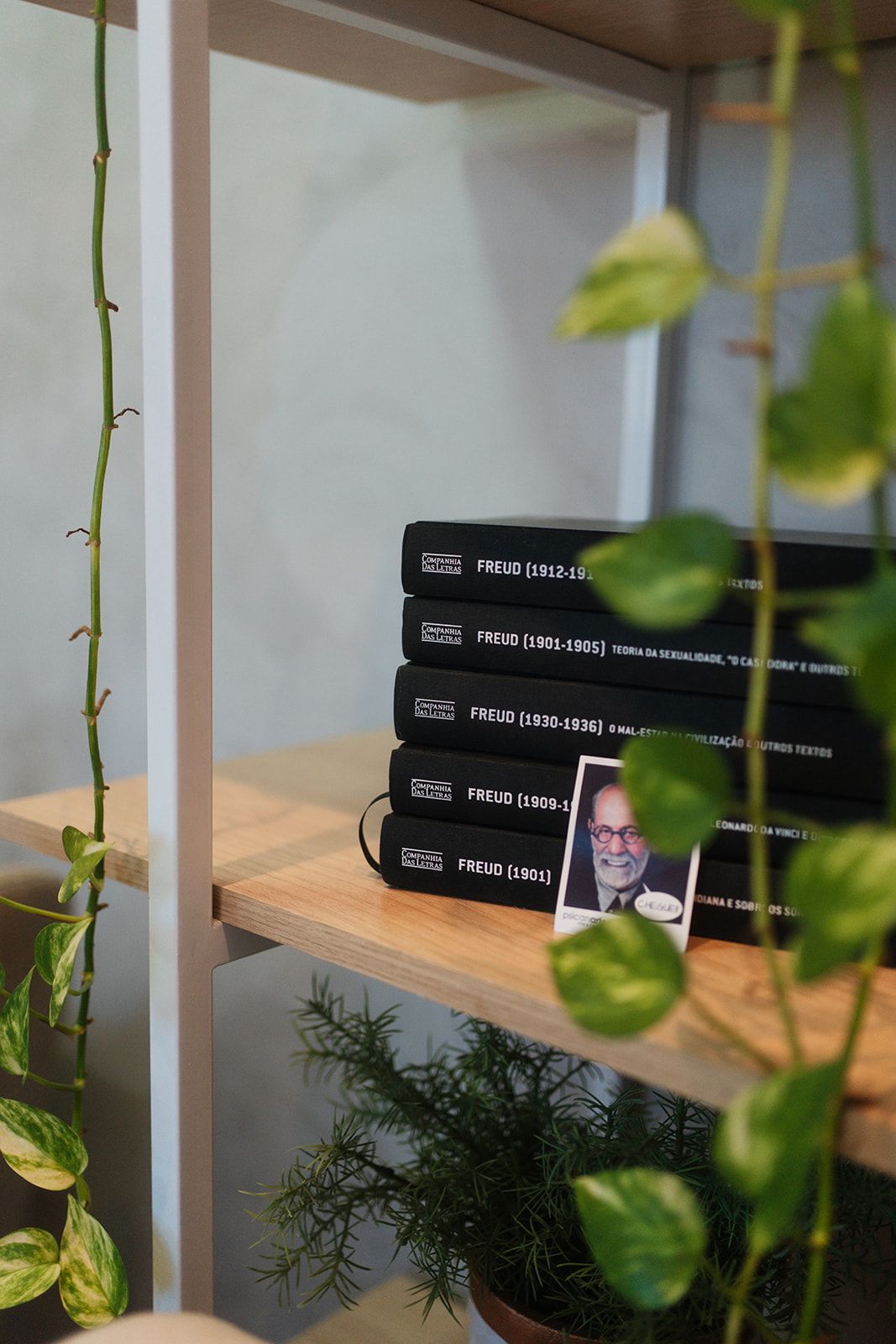 Marianna Lopes Monteiro-10