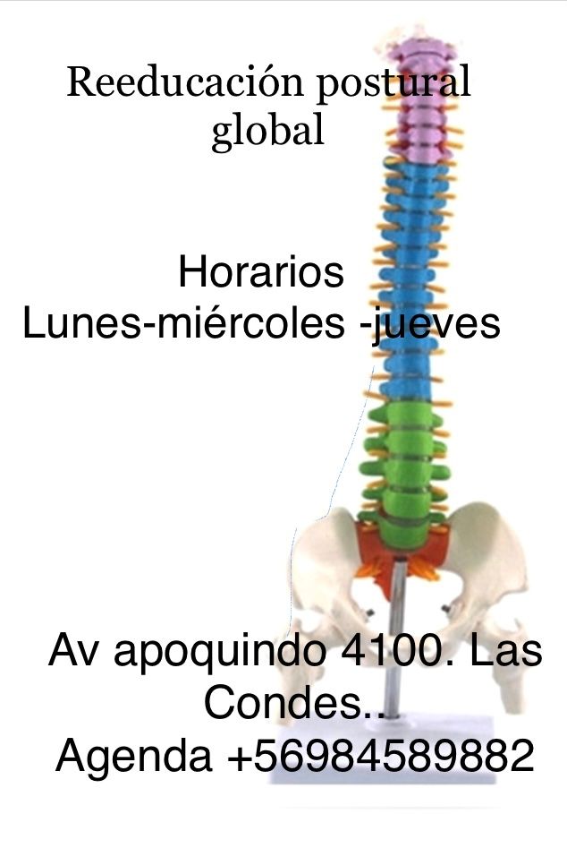 Nancy Villarroel Osorio-3