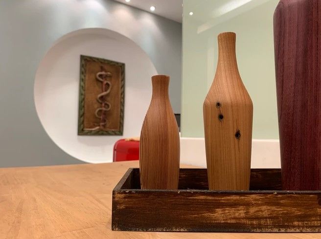 Renato Fernandes Elias-2