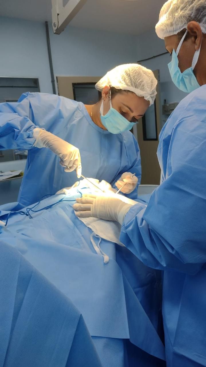 Elizabeth Bittencourt-10