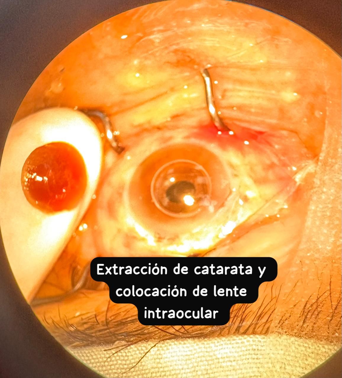 Daniela Rojas Pérez-14