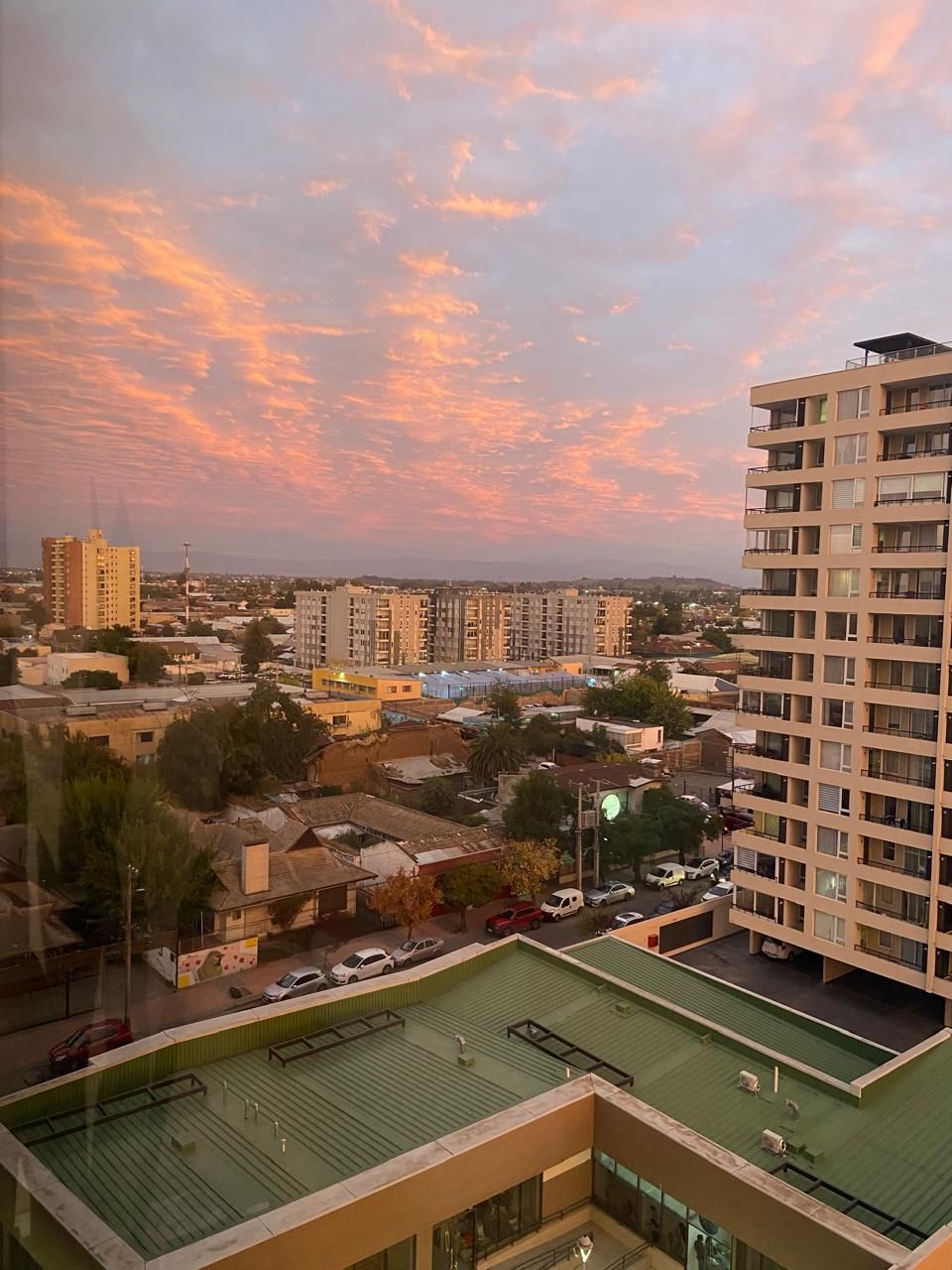 Verónica Álvarez-6