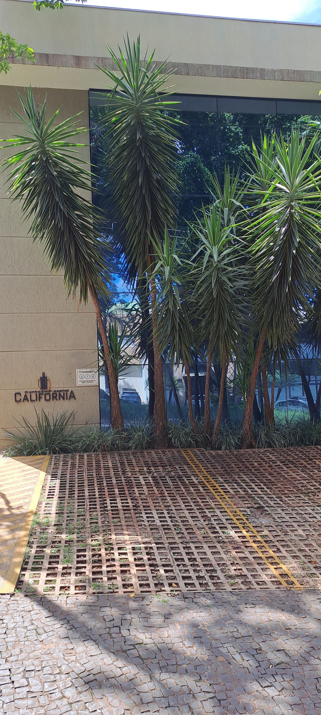 Daniela Bueno De Oliveira Américo De Godoy-0