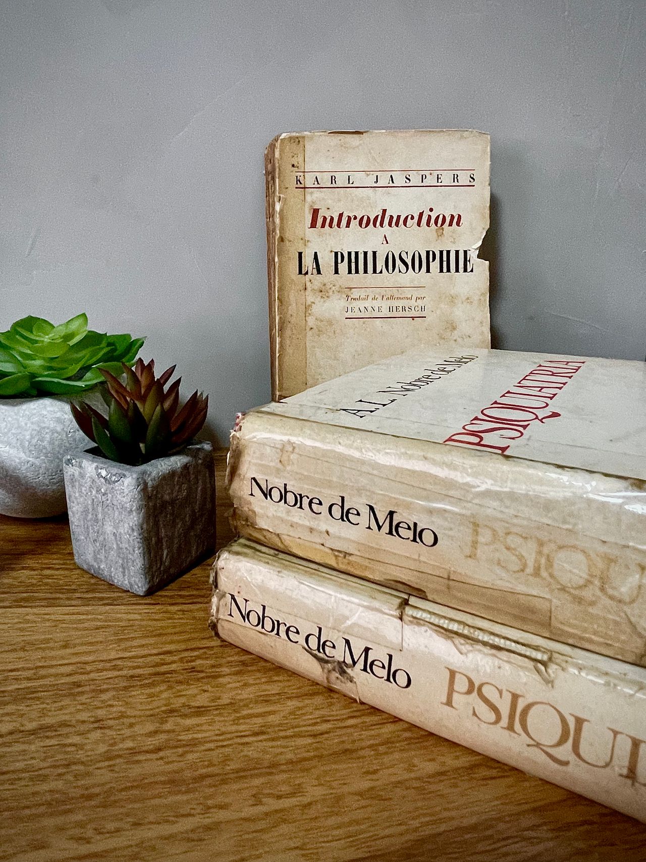 Luiz Guilherme De Siqueira Flora-11