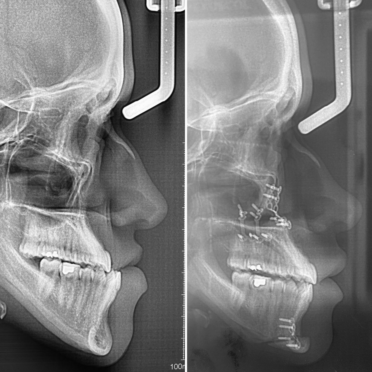 Jose Vicente Rocha Fernandez-13