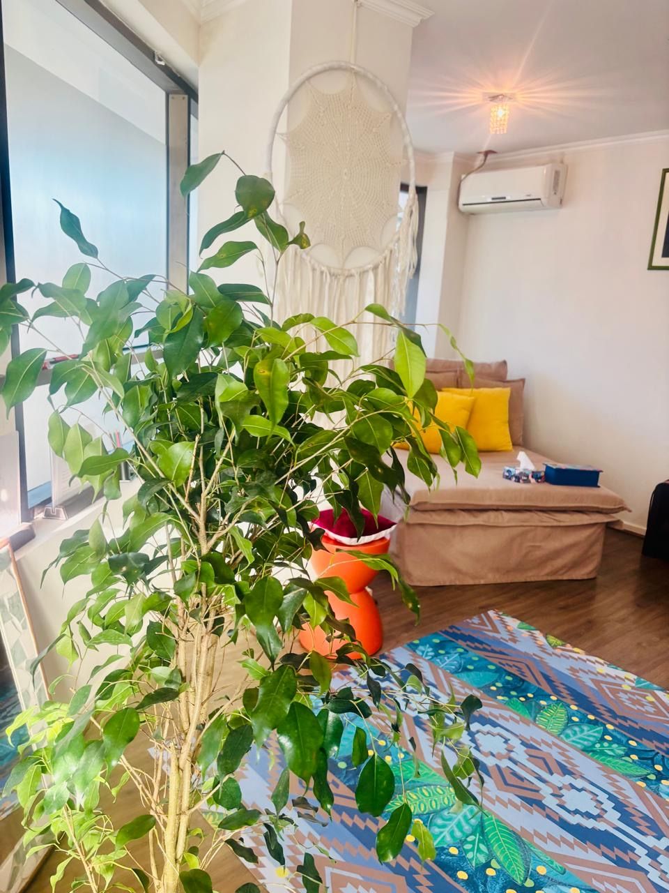 Fabiana Abero Machado-3