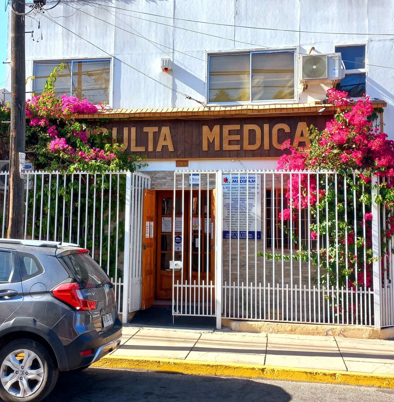 Marisel Montenegro Arriagada-0