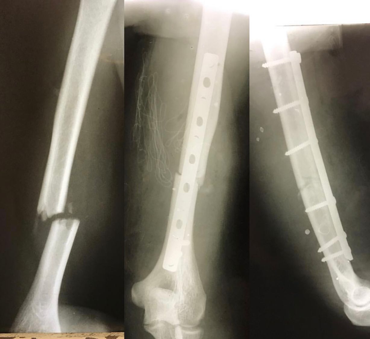 Rogerio Ribeiro Penna-3