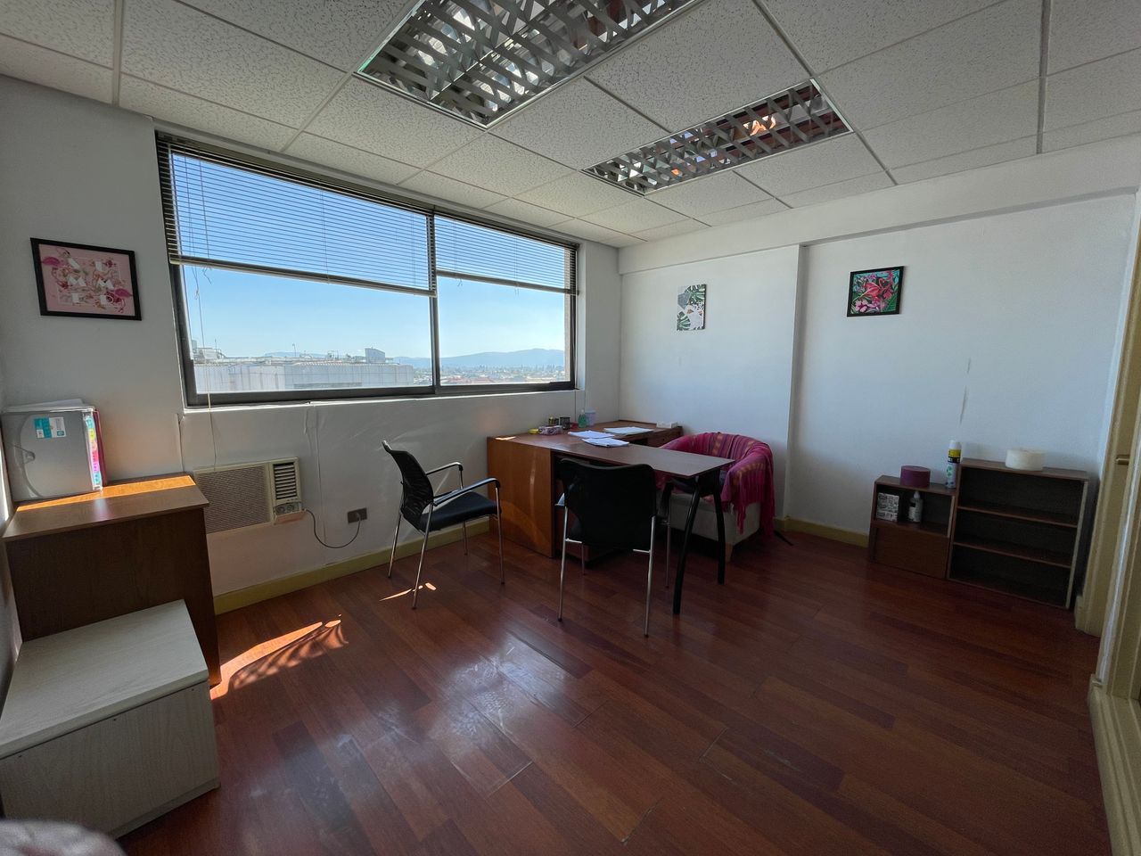 Lorena Verdugo Baeza-3