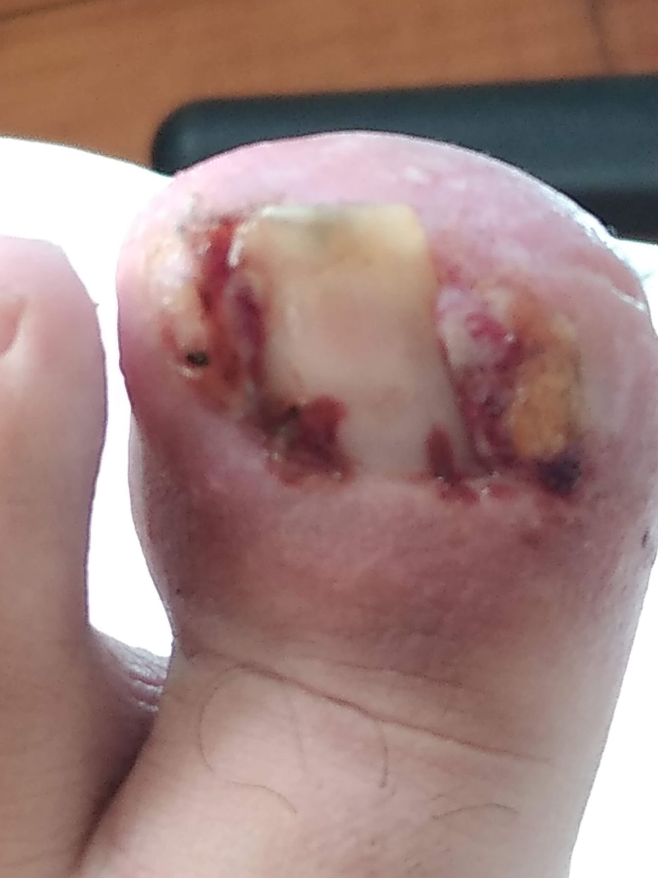 S.patricia Gajardo-4