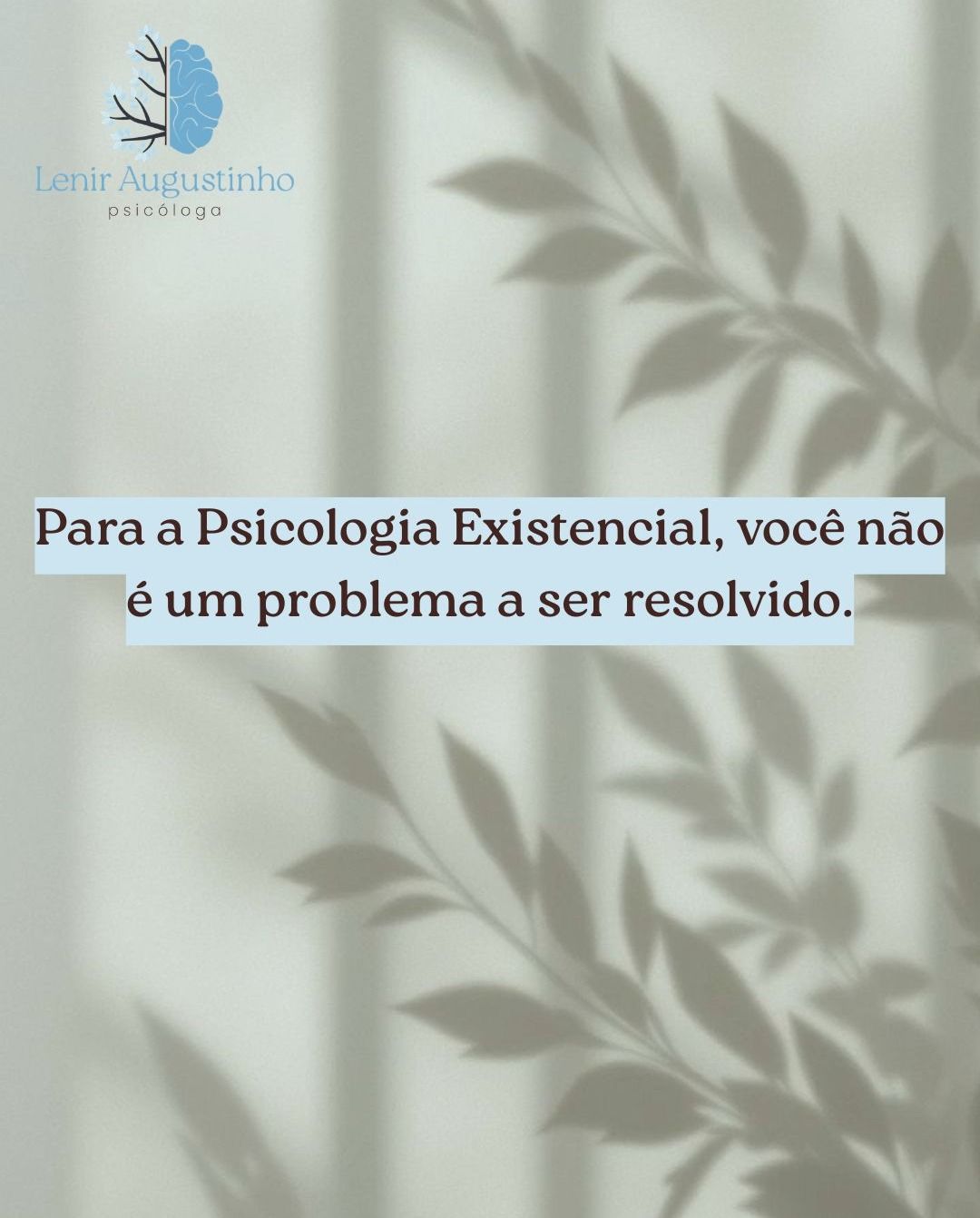 Lenir De Augustinho-6