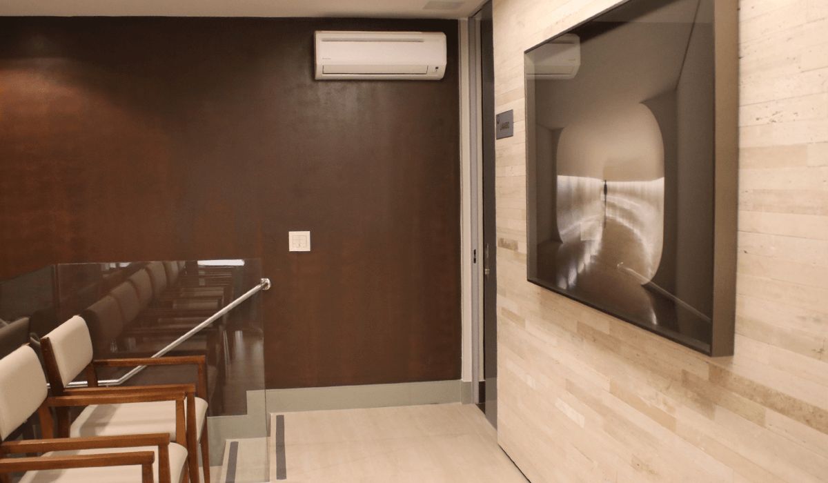 Vanessa Aires Junqueira Guedes Darold-5