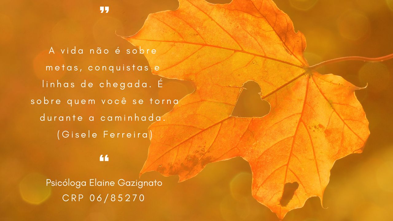 Elaine Cristina Da Silva Gazignato-4