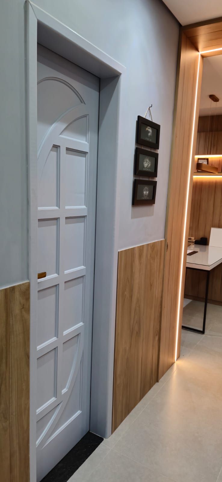 João Felipe Paravidino Alves-7