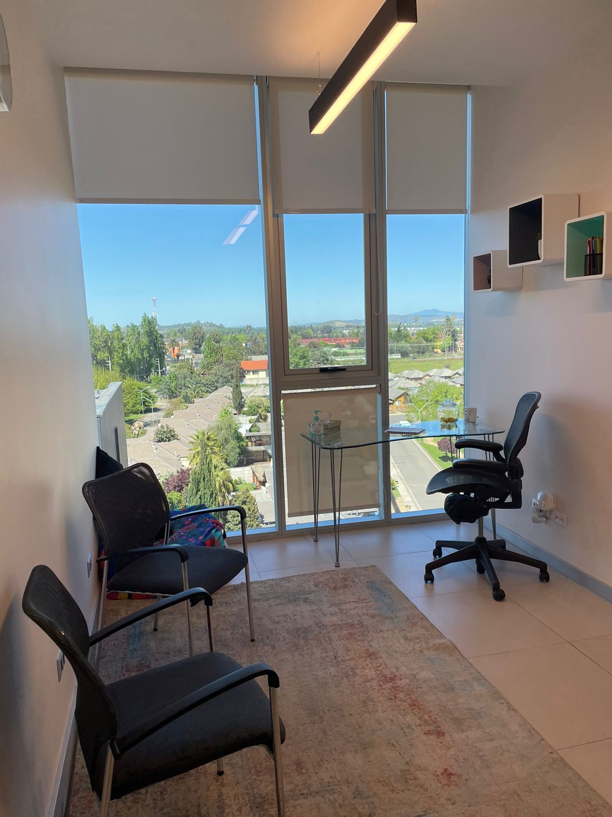 María José Santelices Sazo-5