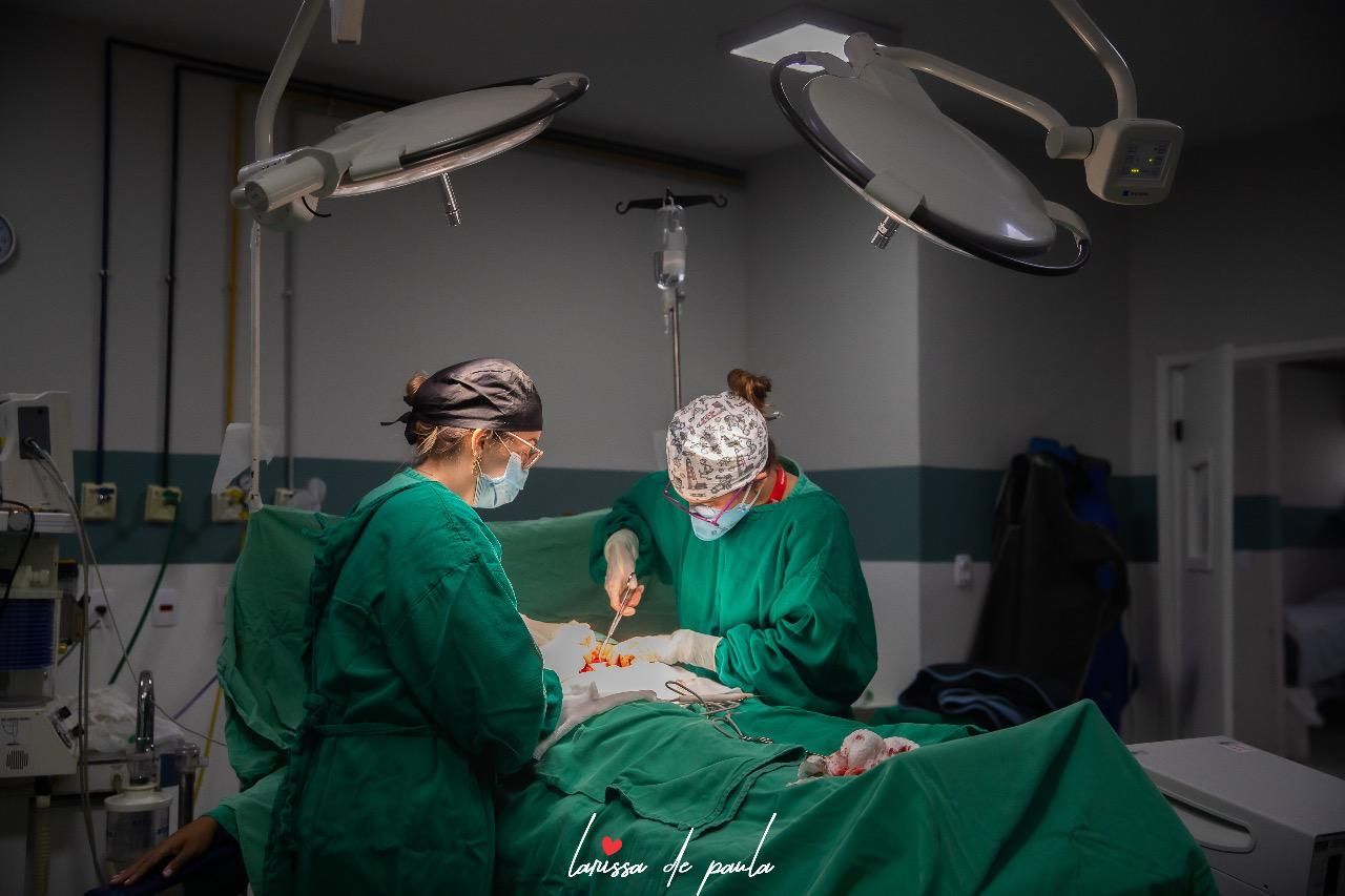 Julia Farias Alkmim-7